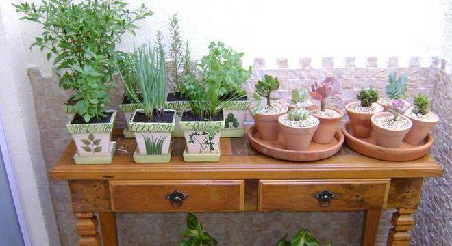 96951- jardim pequeno -mc3-arquitetura-viva-decora-96951