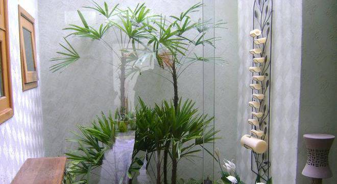 97011- jardim pequeno -mc3-arquitetura-viva-decora-97011