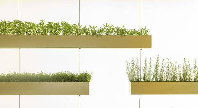 99028- jardim pequeno -marilia-pellegrini-viva-decora-99028