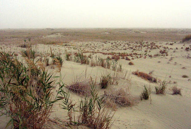 A área da perfuração fica no interior do deserto de Taklimakan, o maior da China e um dos maiores do mundo.