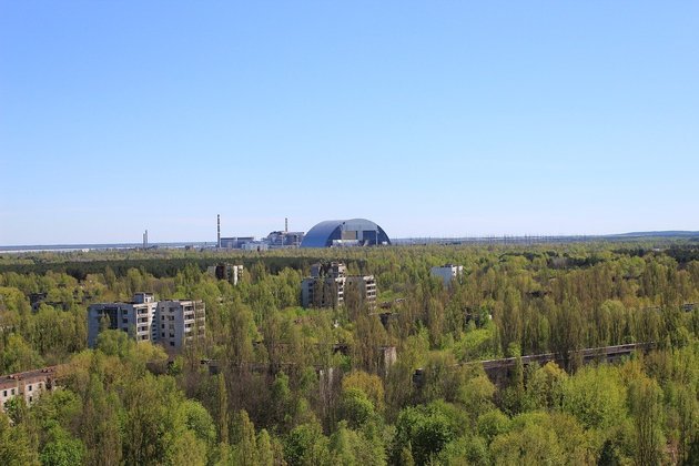 A área é conhecida como Floresta Vermelha e tem elevado índice de contaminação pela radiação da maior tragédia nuclear da história: o acidente de Chernobyl. 