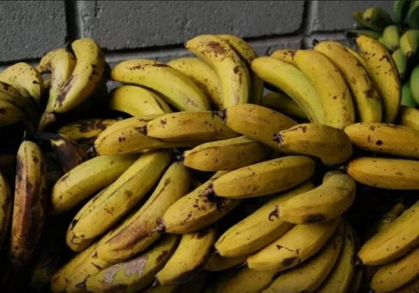 A banana também subiu bastante e, por ser uma fruta do dia a dia dos brasileiros, o aumento impactou bastante as donas de casa. A alta da banana prata chegou a quase 30% e a banana nanica alcançou 36%. Sem escapatória.