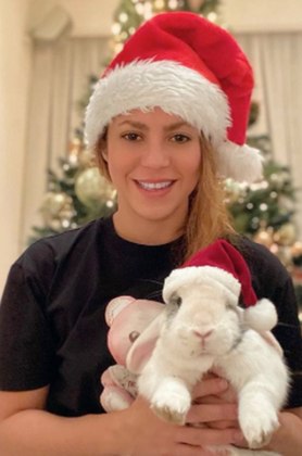A cantora Shakira, apaixonada por coelhos, botou gorros de Natal nela mesma e em Toby, para mandar a seguinte mensagem: Feliz Natal de Toby em nome de todas as mamães coelhinhas do mundo.