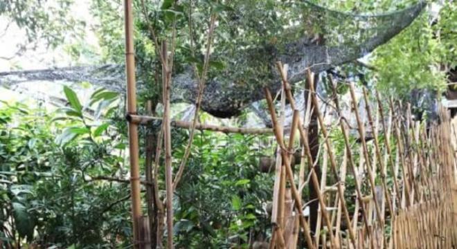 A cerca de bambu delimita a área da horta