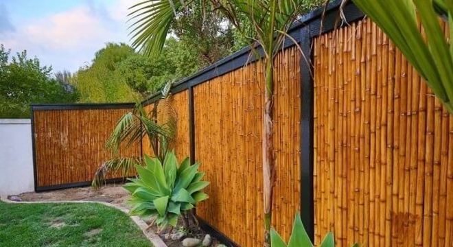 A cerca de bambu foi fixada com estrutura de ferro