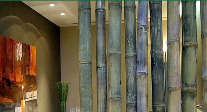 A cerca de bambu foi utilizada como divisória no espaço