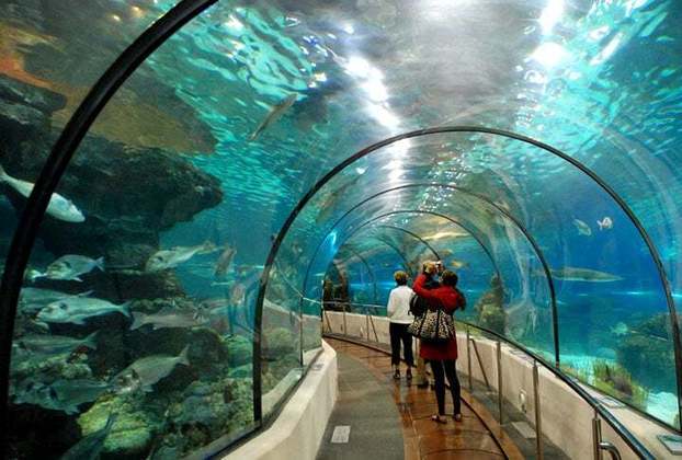 A cidade acomoda o aquário mais rico no mundo em espécies de peixes do Mediterrâneo. Ao todo o espaço conta com 21 grandes aquários, 11 mil animais de 450 espécies distintas. É um importante centro recreativo e educacional da Europa com visitas sensoriais.