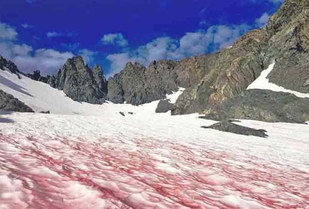 A coloração atípica da neve nesses locais é uma consequência do florescimento em grande escala da alga Chlamydomonas Nivalis. 
