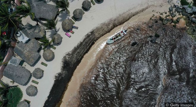 A costa de um resort no México escureceu com a acumulação das algas 