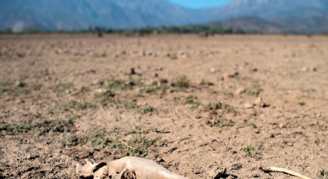 Desertificação está mudando a paisagem de vários países e pode causar o deslocamento de milhões de pessoas na próxima década