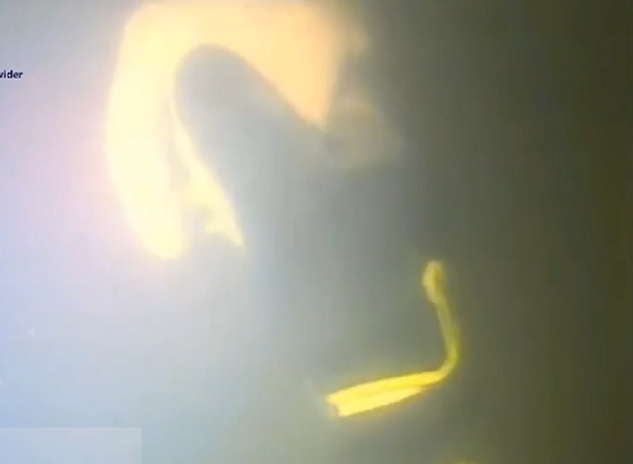 A empresa de mergulho neerlandesa DCN Global enviou três mergulhadores para o local do acidente. Eles foram coordenados por um supervisor que podia observar tudo por meio de uma câmera instalada em um barco na superfície.