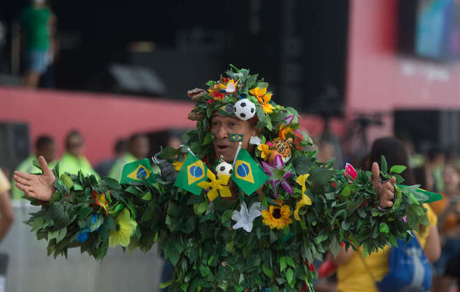 A fauna, a flora e o futebol: orgulhos brasileiros representados na fantasia do torcedor. 