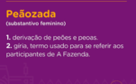 Mas, o que a peãozada (participantes do reality) gosta mesmo é de se divertir na sede. Pode até ter muito fogo no feno, mas os momentos de descontração e alegria também são constantes no reality. 