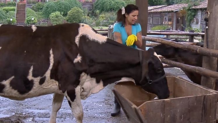 A declaração de amor dessa vez não veio de Tiago, mas de um
dos animaizinhos do reality. Enquanto Solange realizava as tarefas diárias, o
bezerro Junior se manifestou com uma lambida no braço da peoa. Pensa em alguém que
ficou emocionada! A escritora se derreteu e fez questão de compartilhar com os
colegas enquanto dava risada