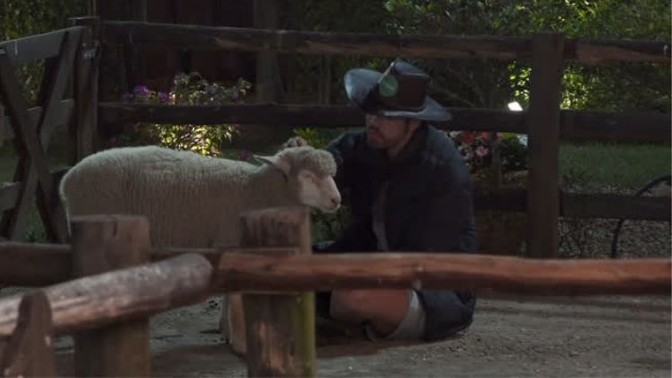 Sabe aquela história sobre o cachorro ser o melhor amigo do
homem? Esqueceram de falar que as ovelhas também podem ser! Durante uma noite
difícil, Rico deu uma escapada da sede para conversar com “as meninas” e
desabafou sobre a saudade que sentia da família. Elas, é claro, foram ótimas
ouvintes e dá até para apostar que o peão se sentiu mais leve! 