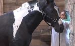 Tati sempre cuidou com muito carinho dos bichos e caiu de amores por Colorado! O cavalo recebeu muitos mimos da peoa e era tratado como 