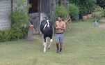 Shay se tornou o melhor amigo de Colorado na temporada. Durante o trato do cavalo, o iraniano até brincou: 