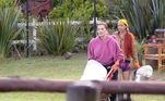 Há também quem goste tanto de estar com os bichinhos que já faz até música na hora de cuidar deles! 