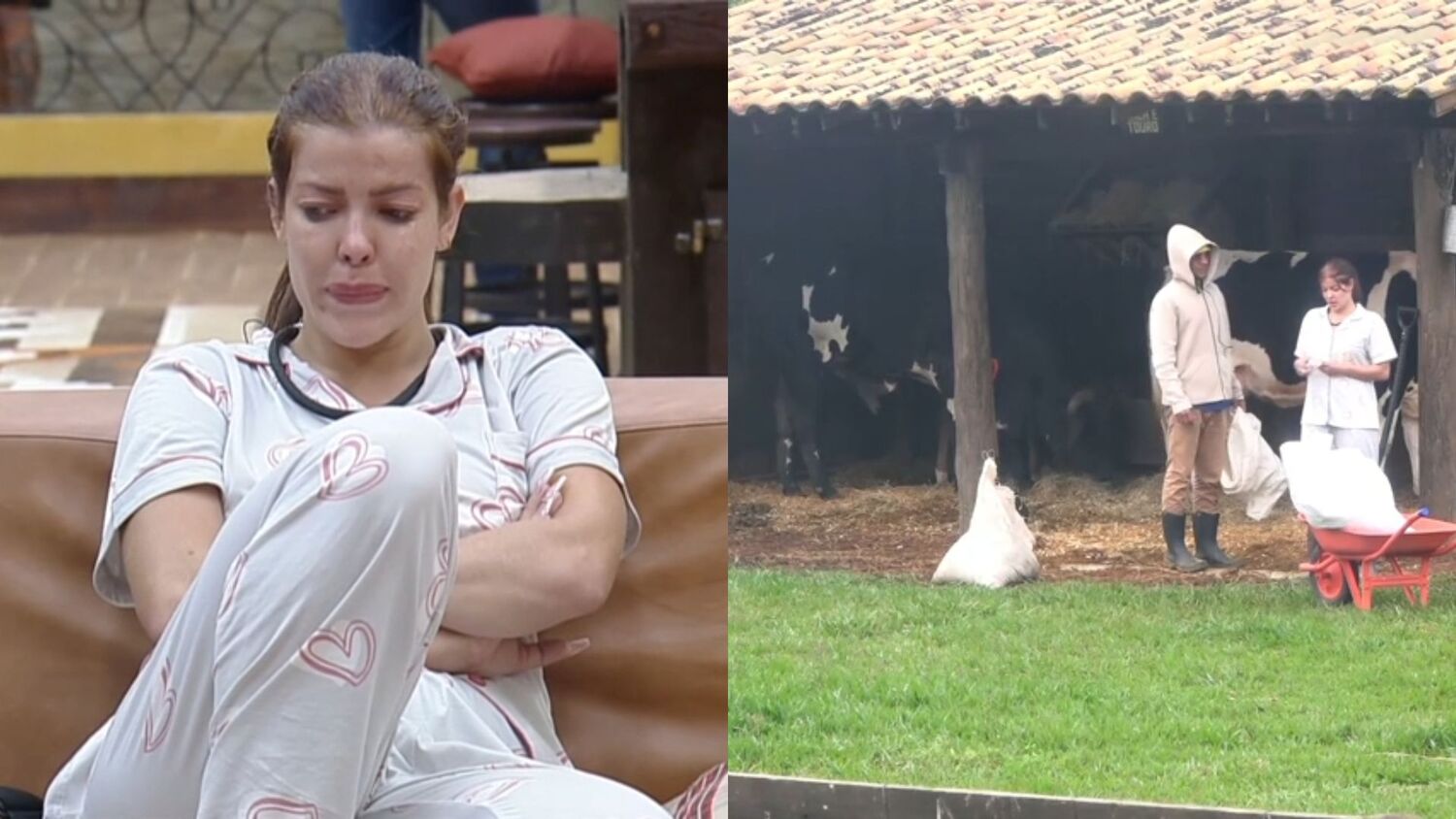 A Fazenda 15': Nadja briga com André após receber função: 'Implicância