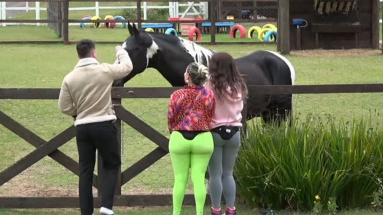 Sem paciência!Colorado tem o humor de uma estrela de cinema, às vezes quer interagir com os fãs, mas em outros momentos, ignora e até trata com desdém. Lucas Souza, Kally e Nadja Pessoa foram fazer uma visitinha para o cavalo, mas ele queria voltar para a Baia. Quando Colorado percebeu que os peões não iriam levá-lo, se esquivou dos carinhos e fez os participantes rirem!