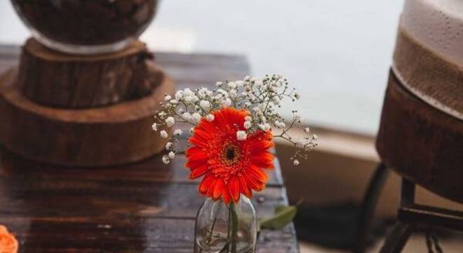 A flor de gérbera é delicada e alegra o ambiente