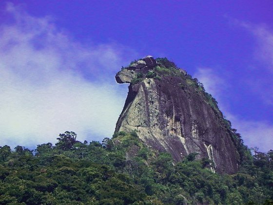 A Ilha Grande (RJ) faz parte do município de Angra dos Reis. É a maior ilha do RJ e a 6ª maior do Brasil. Tem restingas, mangues, penínsulas, enseadas. E o famoso Pico do Papagaio (foto). Seu principal vilarejo é a Vila do Abraão, com 3 mil habitantes. 