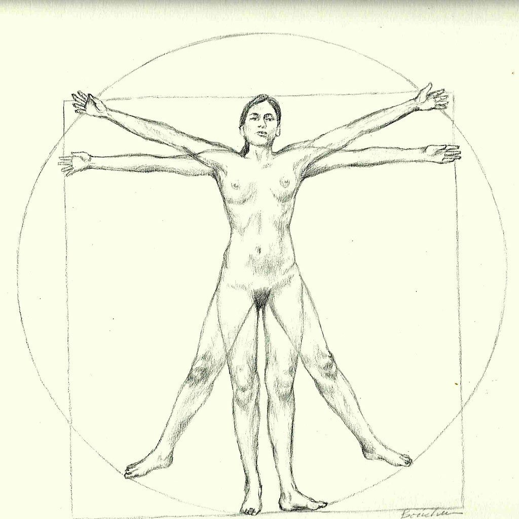 Embora nem Vitrúvio nem Da Vinci tenham mencionado as proporções ideais das mulheres, 1.385 dos participantes escaneados eram do sexo feminino. Com as proporções obtidas foi criada esta imagem.