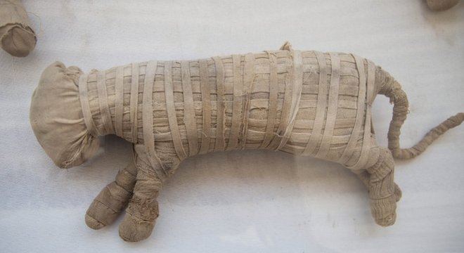 Os arqueólogos acreditam que dois dos animais mumificados podem ser filhotes de leão