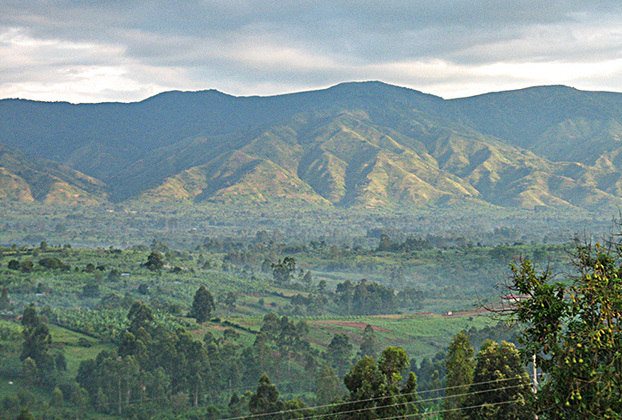 A outra área é marcada pela grandiosidade dos  Montes Ruwenzori, no oeste de Uganda. 