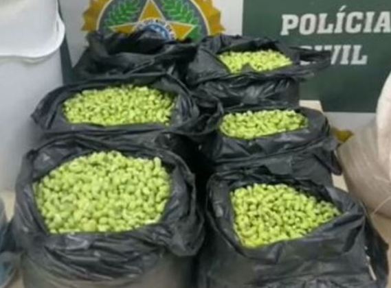 A partir de denúncia, os policiais também encontraram um local onde vários sacos com feijão já estavam prontos para a venda. 