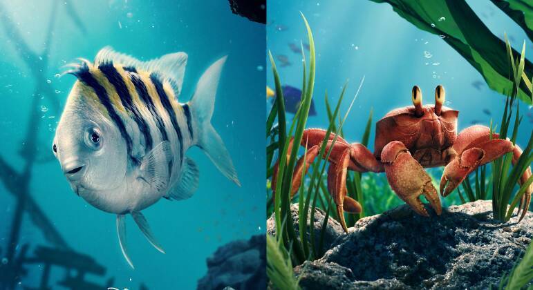 a pequena sereia