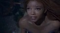 Conheça mais sobre Halle Bailey, protagonista de A Pequena Sereia (Divulgação)