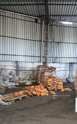 A polícia encontrou 700 sacos de carvão vegetal, entre 3 kg e 7 kg cada. 