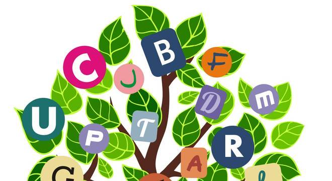 A regra dos porquês: saiba como empregá-los corretamente