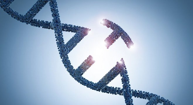 Edição de DNA de um embrião significa que a mudança pode ser passada a futuras gerações