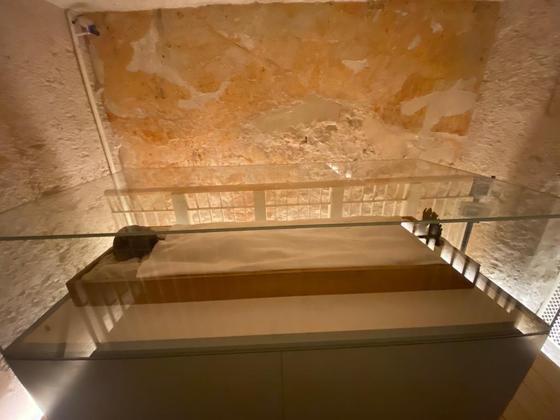A tumba agora contém a múmia do faraó em uma caixa de vidro, assim como o seu sarcófago exterior, feito de madeira dourada.