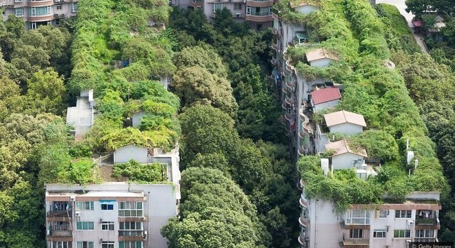 A vegetação ajuda a manter cidades como Chengdu, na China, frescas durante o verão