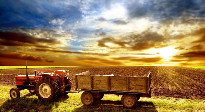 A zona rural – localização, importância, êxodo e agronegócio