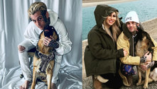 Cachorra de Aaron Carter é adotada por cunhada do cantor 