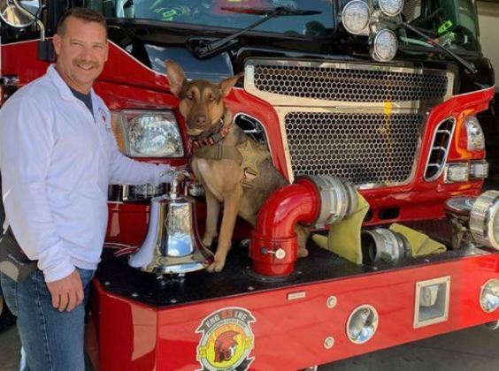 Após entrevistas, Roadie foi adotada por Jeremy Pell, chefe do corpo de bombeiros da região