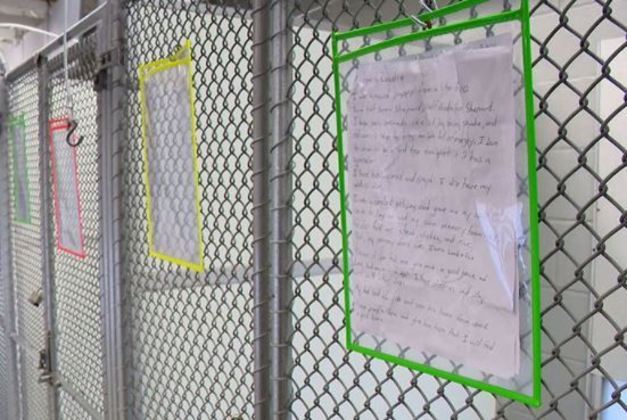 A carta foi colocada na porta do canil para que possíveis adotantes conhecessem a história