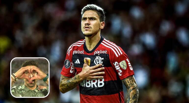 1. Jogador mais valioso da série AConsiderado o jogador mais valioso da série A, Pedro Guilherme, camisa 9 do Flamengo, vale cerca de R$ 114.901.600 no mercado da bola, segundo o transfermarkt. Com apenas uma temporada no clube árabe, Abel poderia comprar o jogador e levá-lo para a Arábia – ou onde bem entender