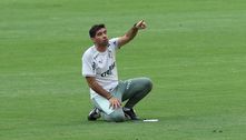 Palmeiras: Maio será de definições na Copa do Brasil e Libertadores  