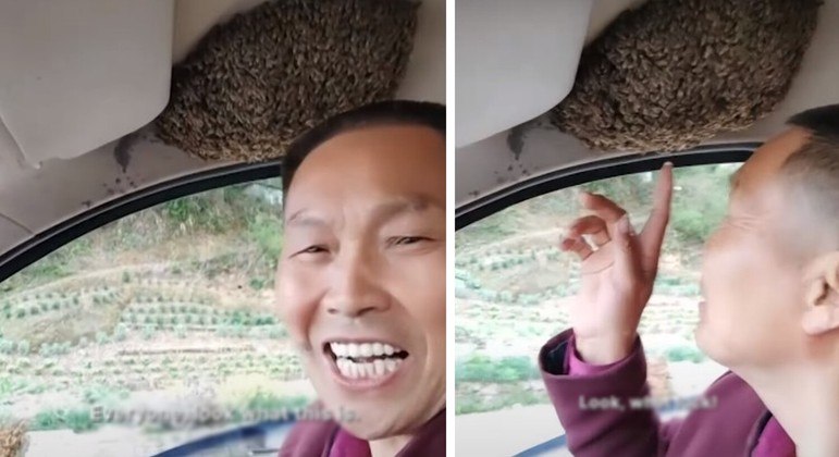 O motorista não apenas não demonstrou medo, como ficou feliz com as abelhas