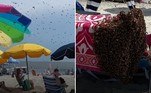 Milhares de abelhas fizeram uma toalha de pista de pouso após invadirem uma praia de Cape May, em Nova Jersey (EUA)Veja também: Fotos flagram o momento em que homens retiram o monólito nos EUA