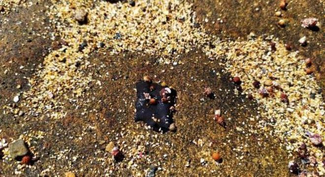 Mancha de óleo encontrada na Ilha de Santa Bárbara, em Abrolhos