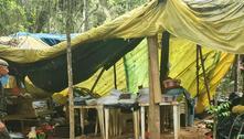 GCM descobre acampamento para produção de drogas em APA de SP
