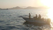 Ação da PM resgata baleias que corriam risco de encalhar no Porto de Santos (SP) 