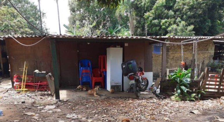 Ação do GDF multa invasores que construíram dentro da unidade de conservação Parque Ecológico do Gama. 