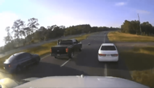 Seis carros e um caminhão batem em rodovia dos EUA por causa de tartaruga que atravessa a pista